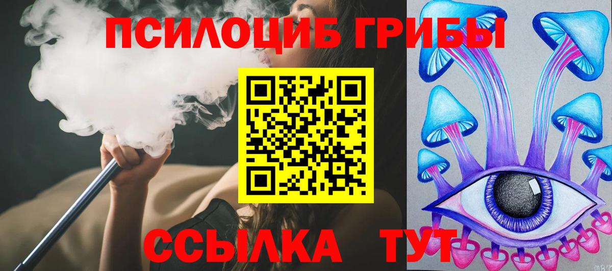 Псилоцибиновые грибы прущие грибы  Вход с VPN  Волгодонск 