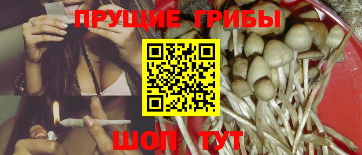 Псилоцибиновые грибы прущие грибы Волгодонск